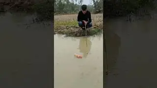 Amazing float Challenge Fishing video #fish_traps #hook_fishing #fish