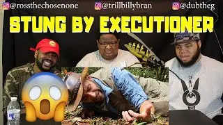 STUNG BY AN EXECUTIONER WASP! - (REACTION) 😱