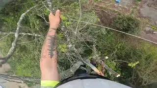 Tree removal between powerlines - storm 2025