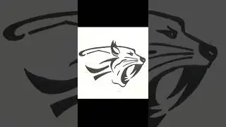 Tiger Face drawing easy #drawing