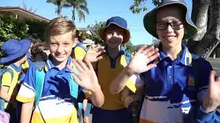 The walking school bus