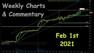 Weekly Charts & Commentary } Feb 1st, 2021