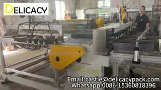 Automatic Duplex Slitter- Sheet Metal Shearing Machine for Tin Can Manufacturing