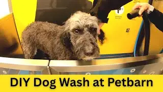 DIY Dog Wash - two dogs in 20 minutes