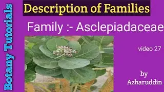 Asclepiadaceae//Vegetative & Floral characters//