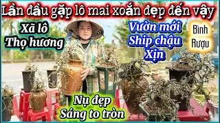 31-1-2026☎️0383840779📲CHỊ TRÚC lần đầu lên kênh giao lưu lô mai xoắn đẹp tuyệt vời báo mã số 