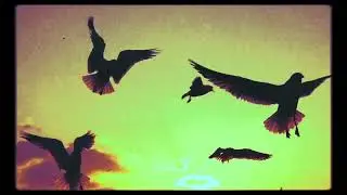 skajs - samotność długodystansowca (ft. angelika irauth)