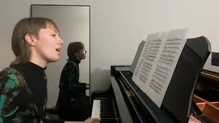 Prayer for Peace, Chichester Psalms