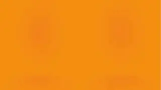 ORANGE SCREEN, ENJOY! 4K HD