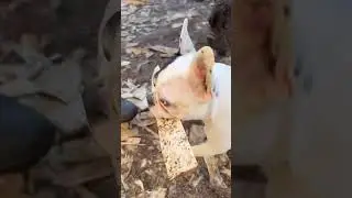 Съездила блин по клубничку🐾🍓