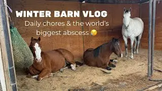 Barn Vlog: Daily Horse Chores & A Monster Abscess Hole 🫢 