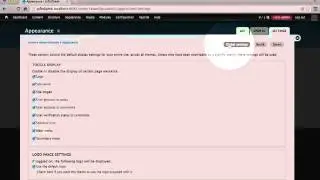 20. How to set up some basic visual branding (a Drupal how-to)