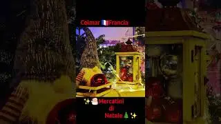 ✨️Magica Colmar, l'Alsazia a Natale cattura tutti con luci, e colori,ci fa tornare un p&ograve; bambini 🎅🏻🎄