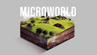 Microworld #1 timelapse