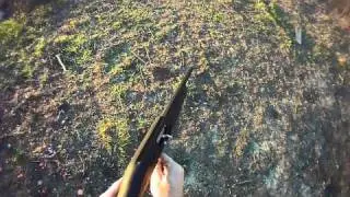 CZ712 Utility 1 1/4 oz Test