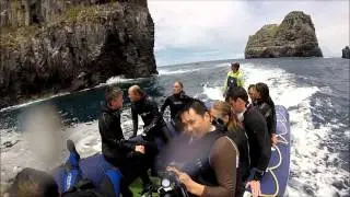 Diving aboard the Galapagos Aggressor III