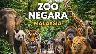 Walking Through Zoo Negara Malaysia | Kuala Lumpur Wildlife Virtual Tour 4K