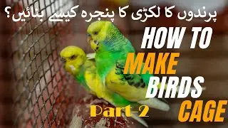 How to Make Birds wood Cage Making easily #creativeideaworld #youtubevideo