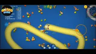 Woh to video worms hurt 7.99.955 pointing ☝️ nober on snake