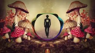Darkpsy: Hutti Heita - Mushrooms and Moonshine