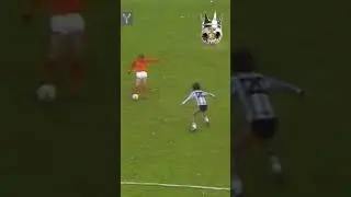 el 'Pato' Fillol best saves Argentina Vs Netherlands World cup 78 🏆 #argentina #netherlands #legends
