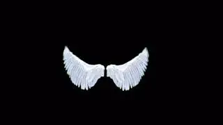 Black screen angel wings effects | New black screen effects | it&rsquo;s lvi