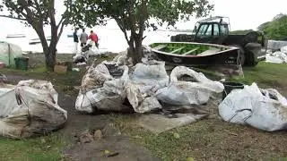 Wakashio : Marée noire à Rivière des Créoles