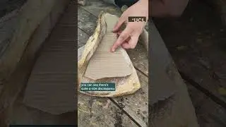 Neolithic scapula shovels with Archaeologist Charli | ArchaeoTech MicroLearning