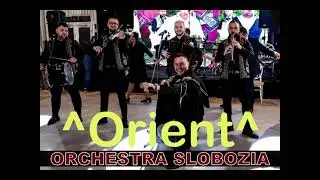 De-as avea dantura buna-Liviu DL Orboiesti si Orient Orchestra Slobozia live 2026