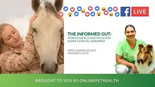 The Informed Gut: How Evidence and Intuition Shape Clinical Judgment, Yasmin Stuart