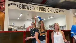 Shark Week at Mudhshark Public House Brewery