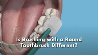 How You Brush Your Teeth With A Round Toothbrush | Brilliant Oral Care