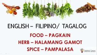 FOOD: HERB AND SPICE - HALAMANG GAMOT AT PAMPALASA | English &ndash; Filipino/Tagalog | Creative Genius