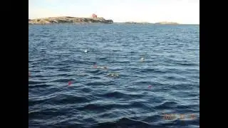 Havsbegravning 2016 - 12 - 02- Amazing Grace- Sissel Kyrkjebö