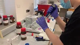 WERC Bench Scale Video