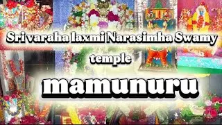 Sri Varah Lakshmi Narasimha Swamy/mamunuru/yerrupalem