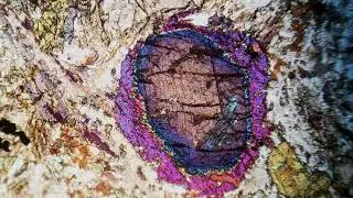 Colors from Before Earth: Erg Chech 002 Under Polarized Light