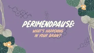 The Women's Brain Health Project: Episode 6 - Perimenopause and the Brain