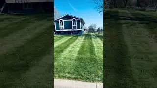 How to Have the Best Lawn on the Block (Tips from an Expert)