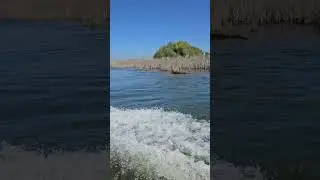 2025 04 21  12 06 08   20250421 120558p   pe Lacul Isacel   VIDEO
