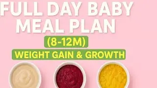 Full Day Baby Meal Plan (8&ndash;12 Months) | Healthy Weight Gain & Easy Recipes for Growth