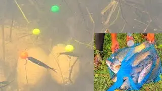 fishing videos | fishing for carp | river fishing tips and techniques | fish catching videos | fish