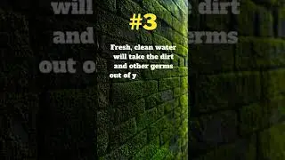 Cat scratch disease home remedies #shorts