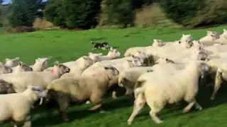 Scotland and Ireland 2025