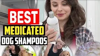 Top 5 Best Medicated Dog Shampoos in 2025
