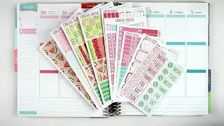 Plan With Me | Watermelon (CaressPress)