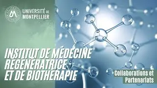 Institut de M&eacute;decine R&eacute;g&eacute;n&eacute;ratrice et de Bioth&eacute;rapie