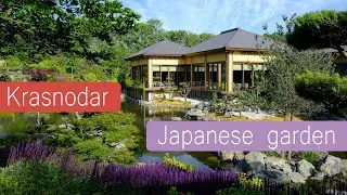 Парк Краснодар. Японский сад.                        Krasnodar. Japanese garden in 4k