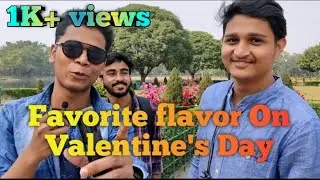 Favorite Flavor On Valentines Day? | Valentine's Day special | street Interview | WittyTwigs