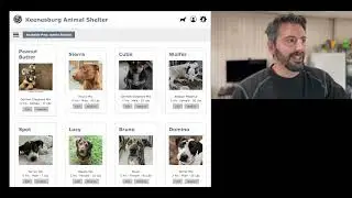 Animal Shelter Database Management System